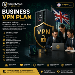 Business VPN Plan